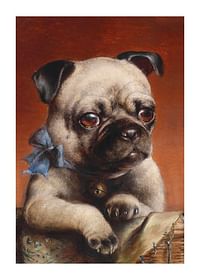 Young Pug By Carl Reichert-1