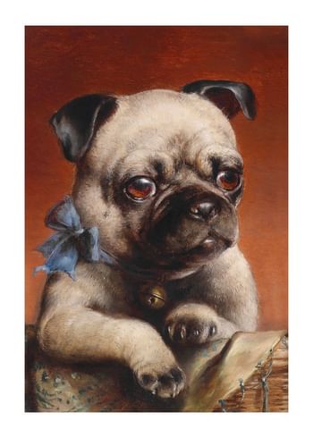 Juliste Young Pug By Carl Reichert
