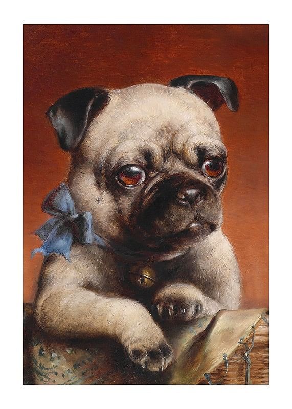 Plagát Young Pug By Carl Reichert