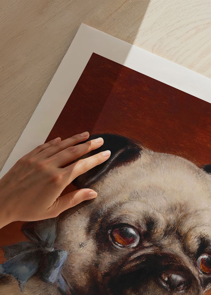 Young Pug By Carl Reichert-12