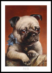 Young Pug By Carl Reichert-0