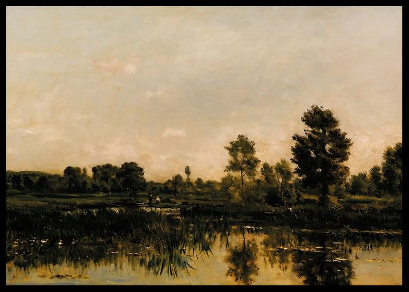 Mlaștina de Charles Francois Daubigny-12