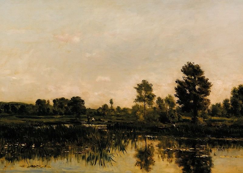 Mlaștina de Charles Francois Daubigny-12