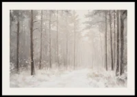 A winter poster showing a snow-covered path through a tranquil and dreamlike forest-2