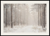 Um cartaz de inverno que mostra um caminho coberto de neve por uma floresta tranquila e onírica-2