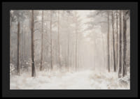 Um cartaz de inverno que mostra um caminho coberto de neve por uma floresta tranquila e onírica-4