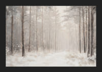 Um cartaz de inverno que mostra um caminho coberto de neve por uma floresta tranquila e onírica-5