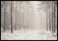 En vinterposter som visar en snötäckt stig genom en stillsam och drömlik skog-6