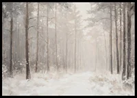 A winter poster showing a snow-covered path through a tranquil and dreamlike forest-6