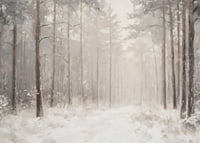 En vinterposter som visar en snötäckt stig genom en stillsam och drömlik skog-7