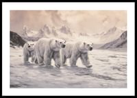 A poster capturing polar bears trekking through a frozen arctic landscape-0