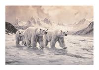 A poster capturing polar bears trekking through a frozen arctic landscape-1