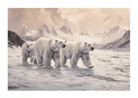 En poster som fångar isbjörnar på vandring genom ett fruset arktiskt landskap-1