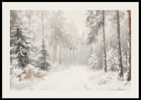 Un poster che immortala un sentiero nel bosco immobile e innevato, nel silenzio del paesaggio invernale-2