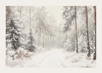 A poster that captures a still, snow-covered forest path in the silence of the winter landscape-3