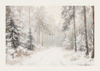 Un poster che immortala un sentiero nel bosco immobile e innevato, nel silenzio del paesaggio invernale-3