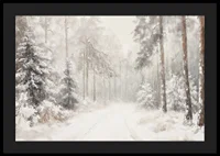 A poster that captures a still, snow-covered forest path in the silence of the winter landscape-4