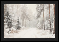 Un poster che immortala un sentiero nel bosco immobile e innevato, nel silenzio del paesaggio invernale-4