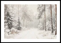 A poster that captures a still, snow-covered forest path in the silence of the winter landscape-0