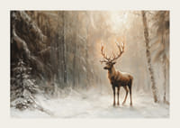 Plagát zachytávajúci osamelého jeleňa v pokojnom, zasneženom lese-3