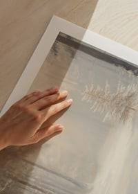En poster som fångar vinterskogens stillhet och magiska ljus-9