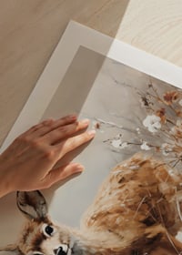 A poster that captures the innocence of a young deer in a peaceful natural setting-9