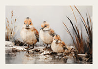 A poster with three small, fluffy birds standing together at the water's edge.-3