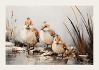 En plakat med tre små, luftige fugler som står sammen i vannkanten.-3