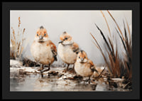 A poster with three small, fluffy birds standing together at the water's edge.-4