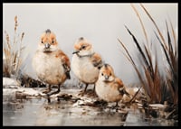 A poster with three small, fluffy birds standing together at the water's edge.-6
