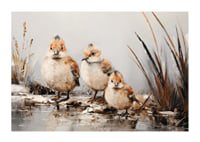 A poster with three small, fluffy birds standing together at the water's edge.-1
