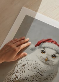 A Christmas poster with a snowy owl in a Santa hat on a frosty branch.-9