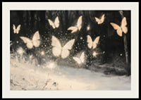 A poster of luminous butterflies hovering over a snow-covered landscape, lighting up the winter night.-2