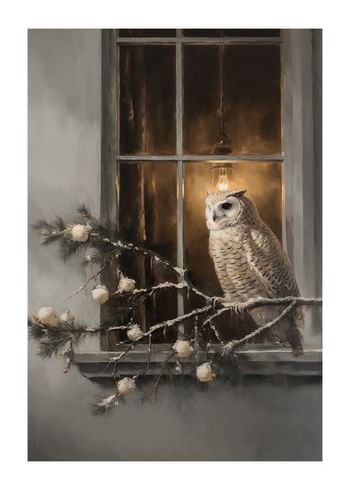 Poster Owl And Window Light