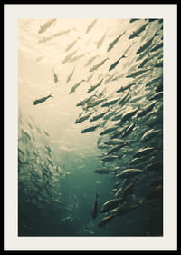 A poster capturing a school of fish moving through sunlit ocean depths-2
