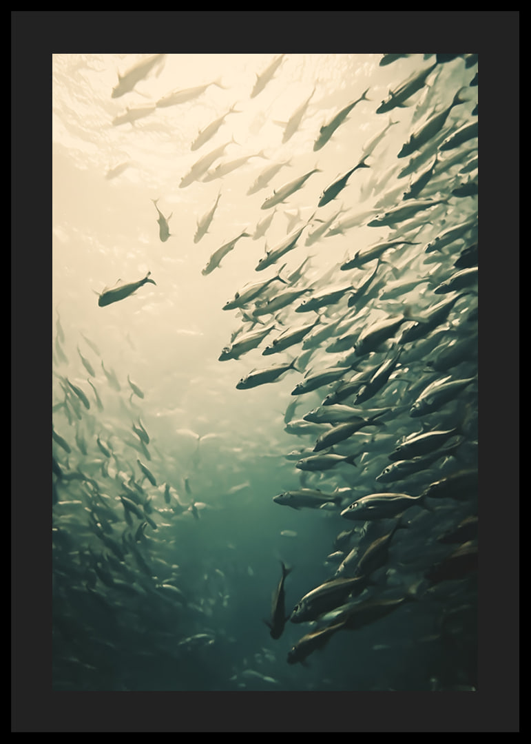 Een poster waarop een school vissen te zien is die door de zonovergoten diepten van de oceaan beweegt-12