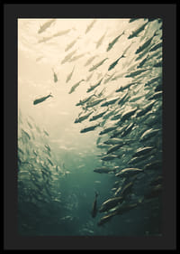 A poster capturing a school of fish moving through sunlit ocean depths-4