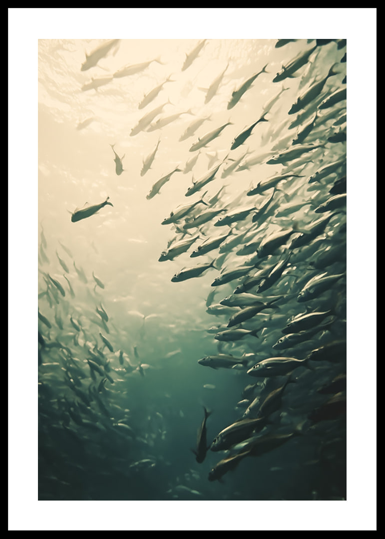 Een poster waarop een school vissen te zien is die door de zonovergoten diepten van de oceaan beweegt-12