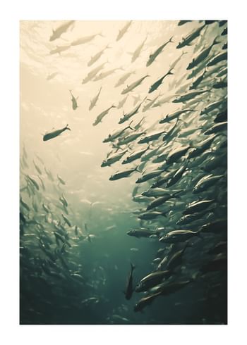Poster Flow of Water Life