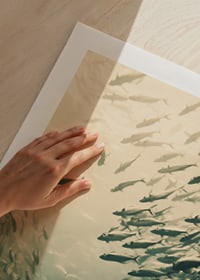 Een poster waarop een school vissen te zien is die door de zonovergoten diepten van de oceaan beweegt-9