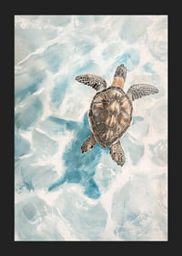 A poster of a sea turtle gliding through crystal clear water-5