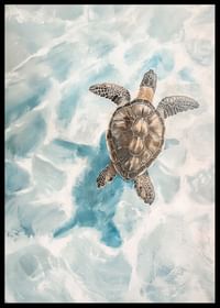 Un poster cu o țestoasă de mare alunecând prin apă limpede-2