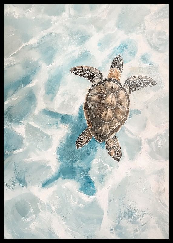Un poster cu o țestoasă de mare alunecând prin apă limpede-12
