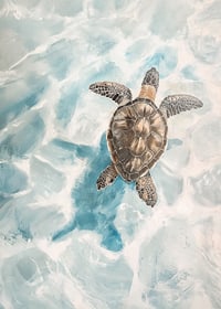 A poster of a sea turtle gliding through crystal clear water-7