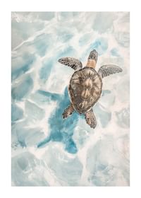 Un poster cu o țestoasă de mare alunecând prin apă limpede-1