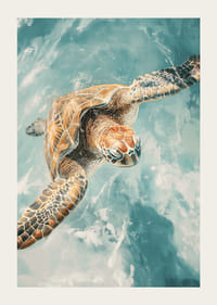 A poster of a majestic sea turtle gliding through crystal clear water-3