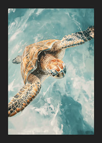 A poster of a majestic sea turtle gliding through crystal clear water-5