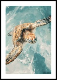 Un poster cu o țestoasă de mare maiestuoasă care planează prin apă limpede-0
