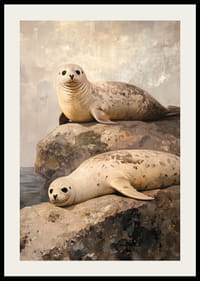 Um cartaz de duas focas a descansar em rochas à beira-mar, rodeadas por um ambiente costeiro tranquilo-2
