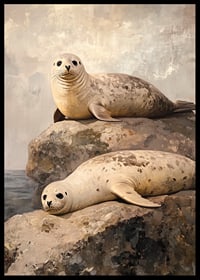 En poster av två sälar som vilar på klippor vid havet, omgivna av en rofylld kustmilj-6